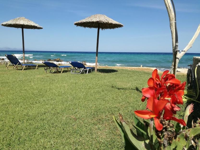 Studio Thalassa Kypseli المظهر الخارجي الصورة